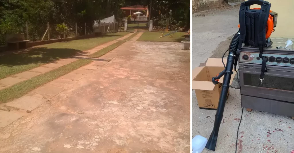 soprador de folhas costal a gasolina